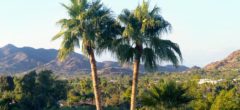 Paradise Valley AZ Home Search