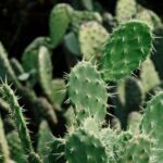 Phoenix metro real estate update May 2025