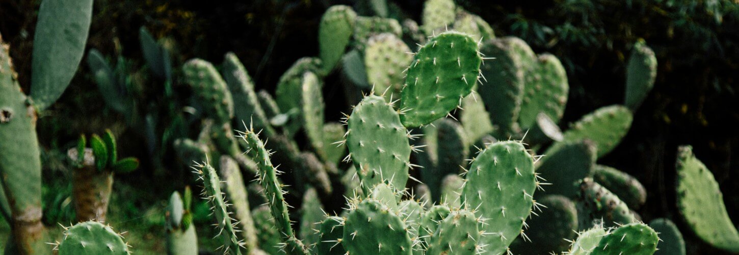 Phoenix metro real estate update May 2025