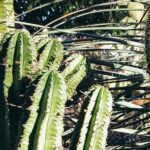 Phoenix Metro Real Estate Report Oct 2025